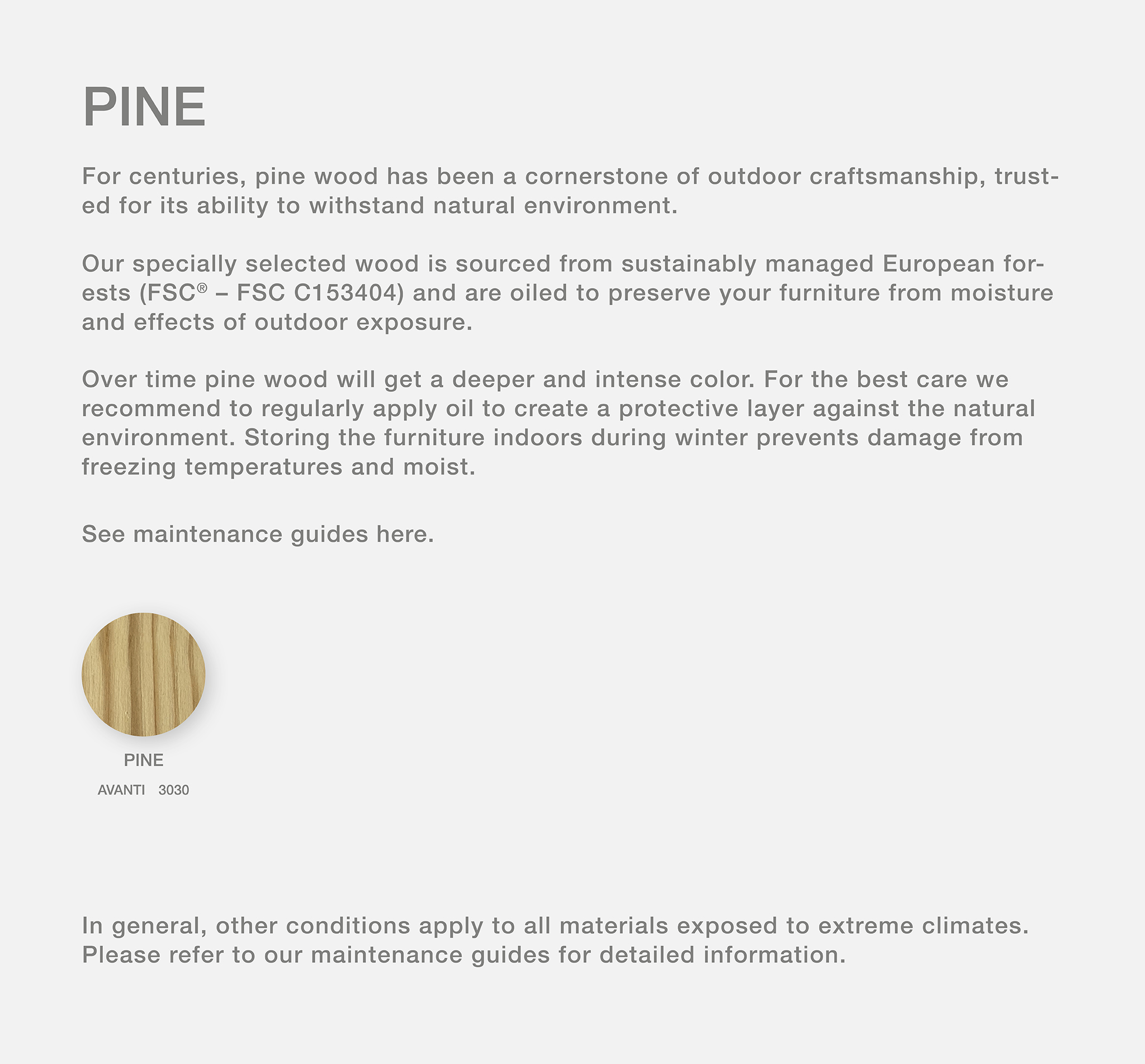 Pine_2025