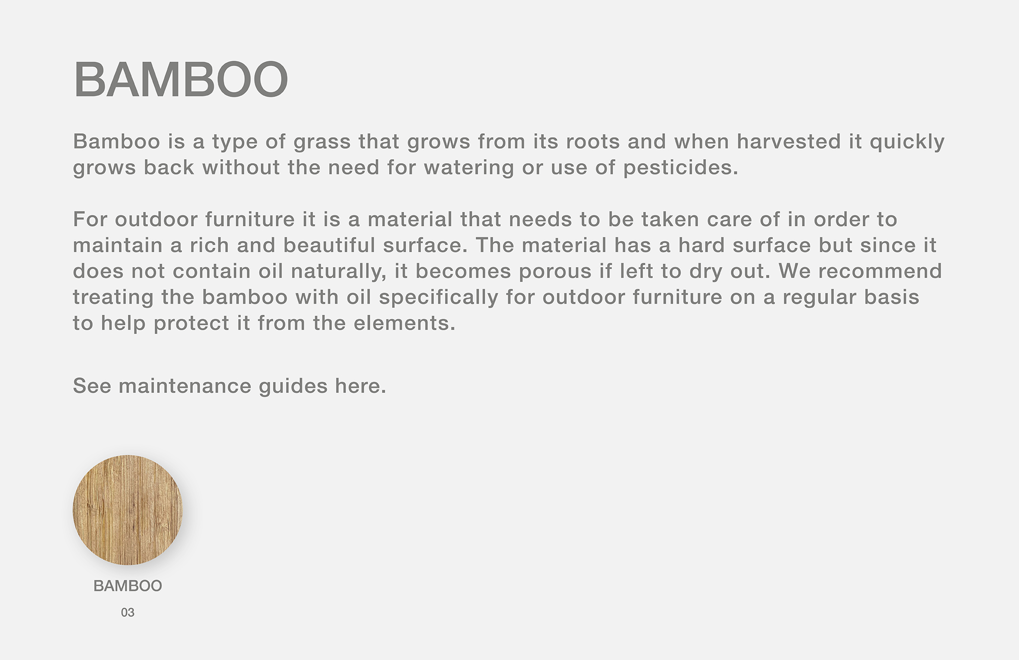 Bamboo_2025